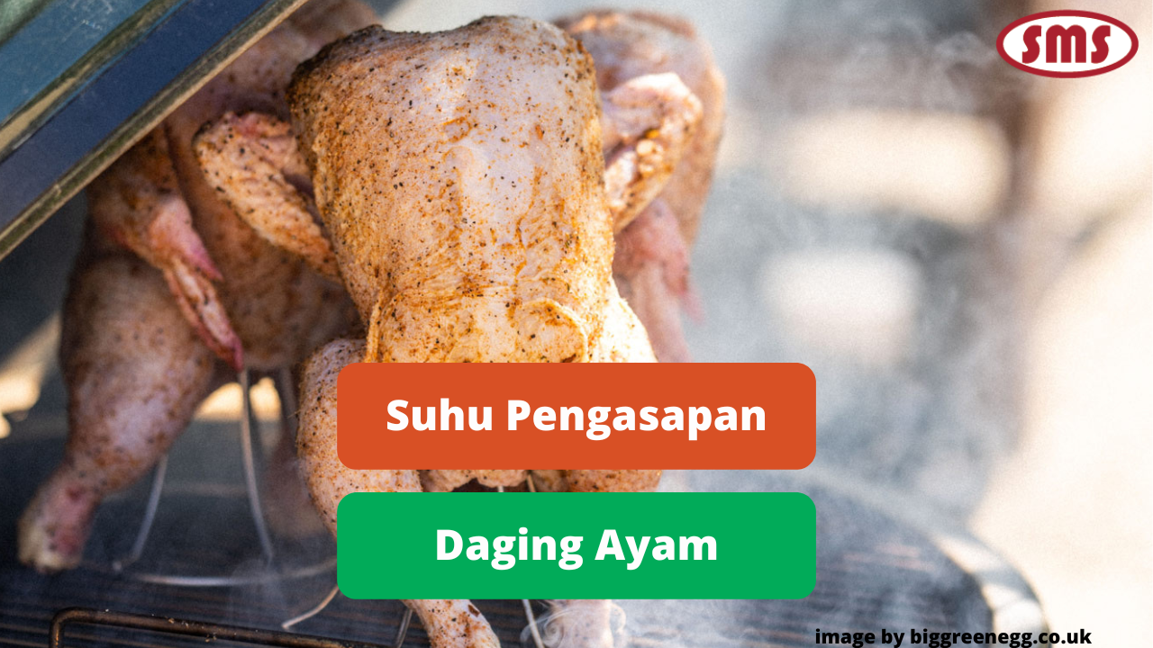 Ketahui Suhu Ideal Dalam Pengasapan Ayam